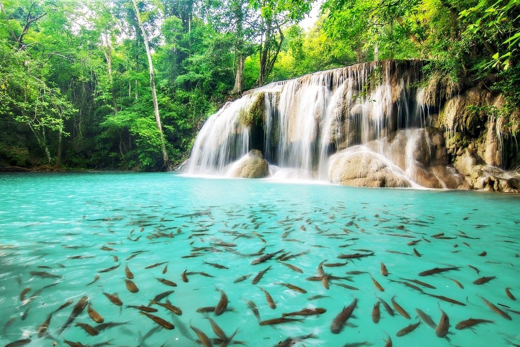 Tour Kanchanaburi - Le cascate di Erawan