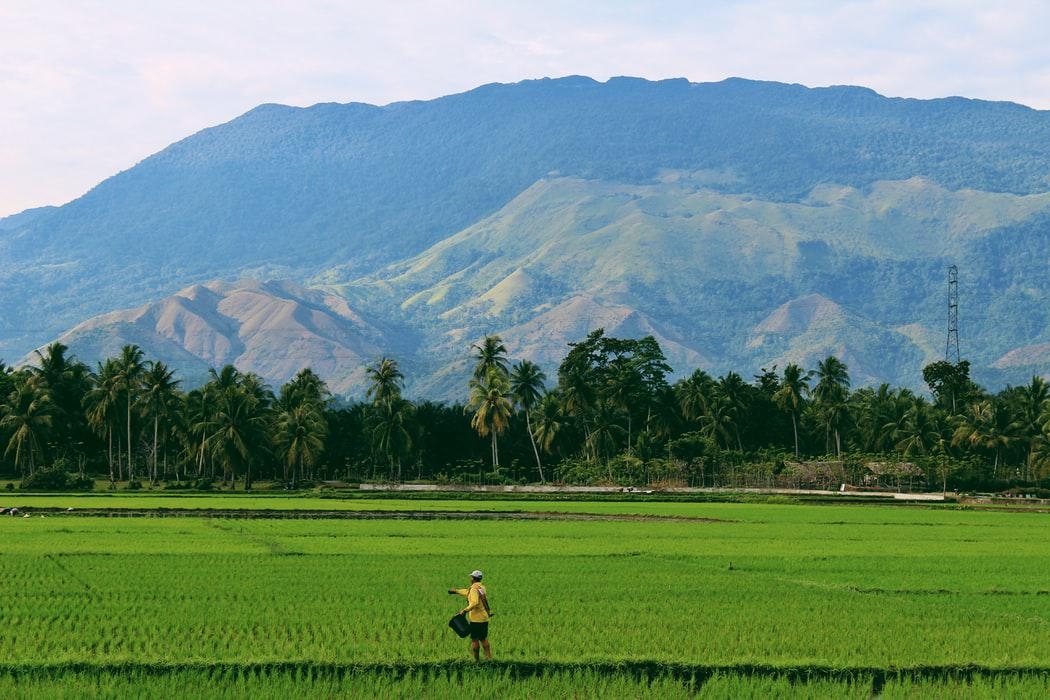 Itinerari Thailandia - La vita rurale