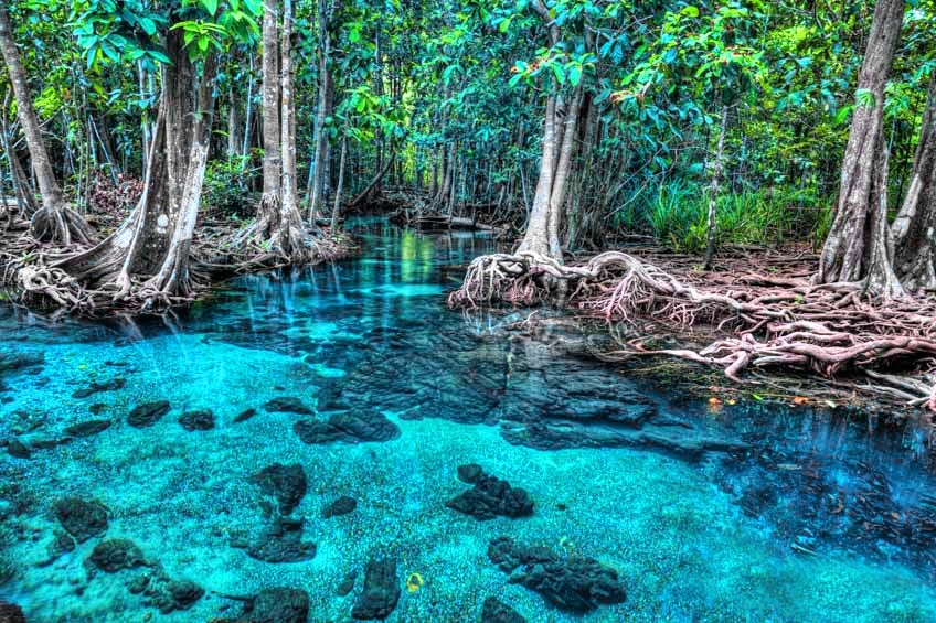 Tour piscina di smeraldo krabi - i colori e la foresta