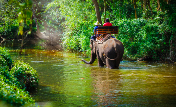 Trekking tour elefanti - escursione da Chiang Mai