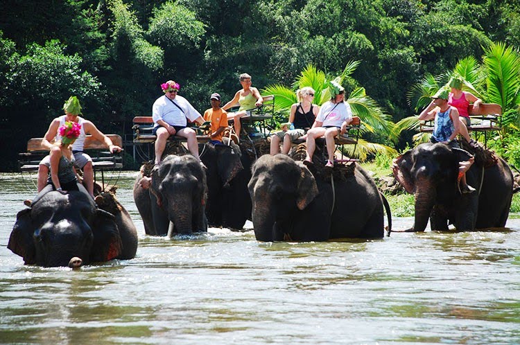 Trekking tour elefanti - guadando i fiumi