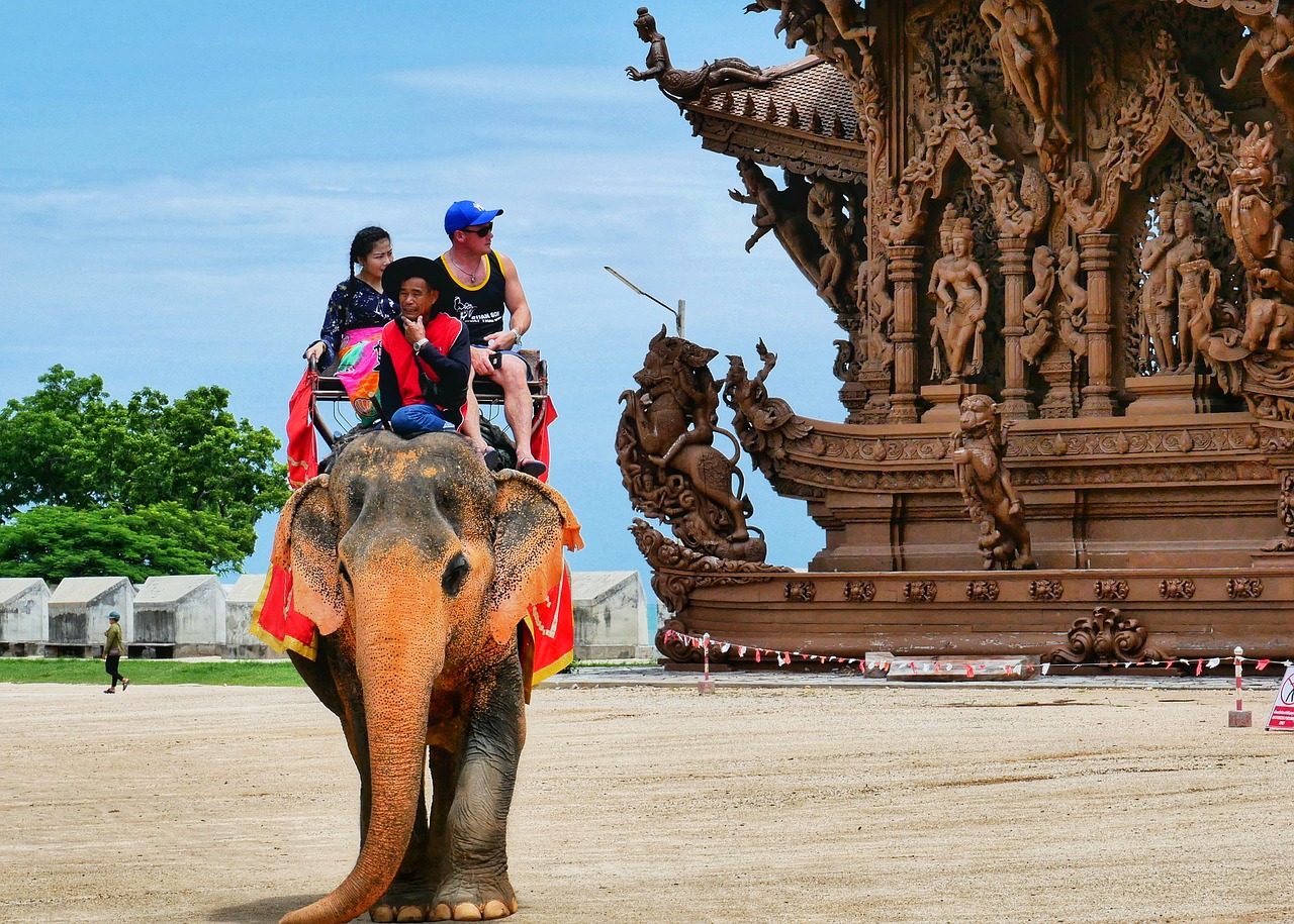 Trekking tour elefanti con partenza da Chiang Mai