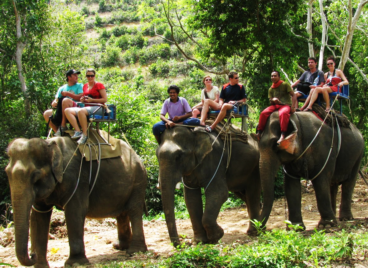 Trekking tour elefanti in Thailandia