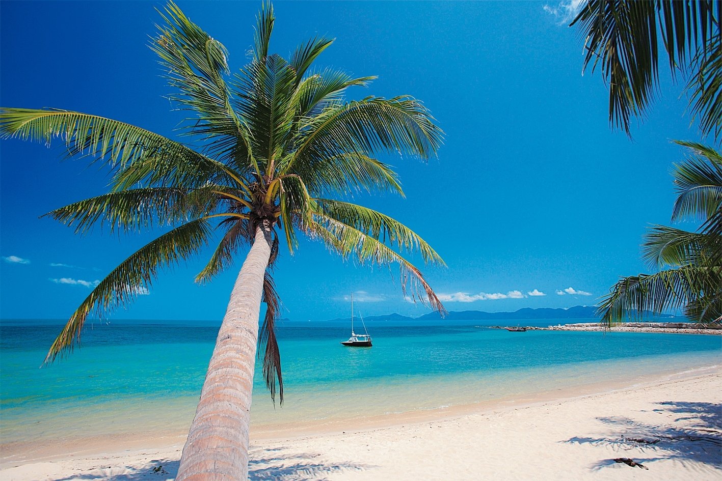 Brunch cruise Koh Phangan