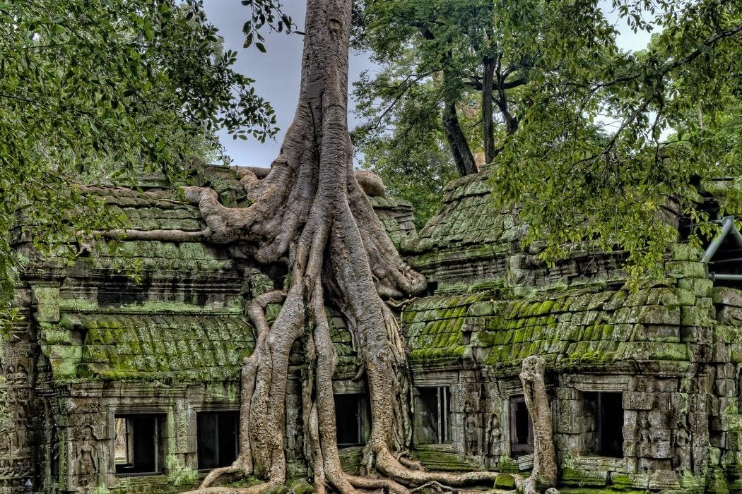 Escursione Angkor Wat - l'antica città nella giungla