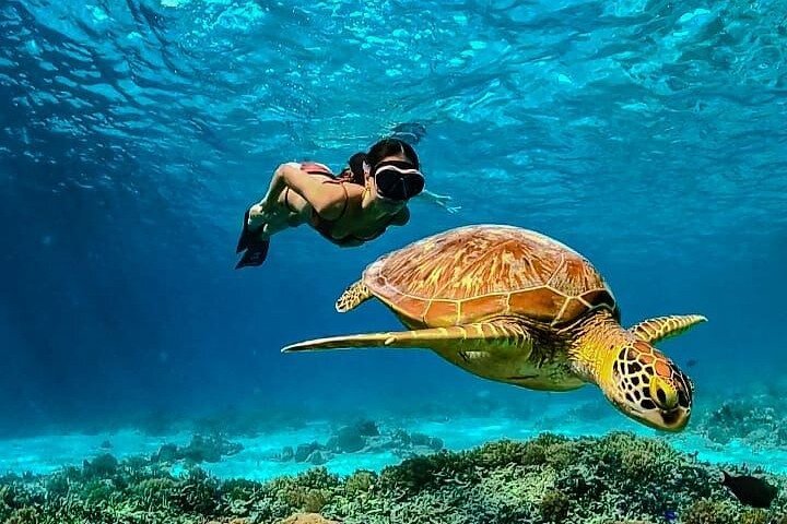Gili islands snorkeling